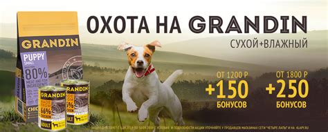 Grandin