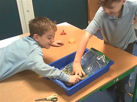 Learning About the Digestive System (Year 4) | Eastry Primary School