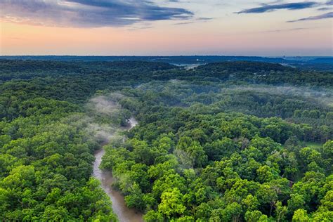 Conservation of forest and wildlife – What Can YOU Do?