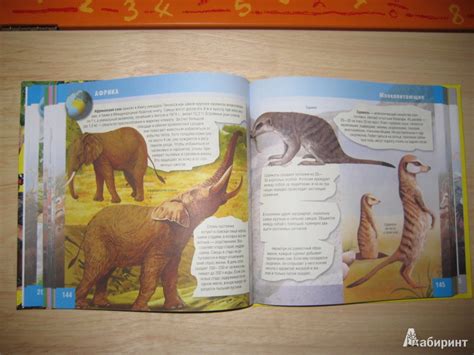 Книга: Животные. Иллюстрированная энциклопедия. 1000 интересных фактов ...