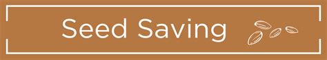seed saving seed library network