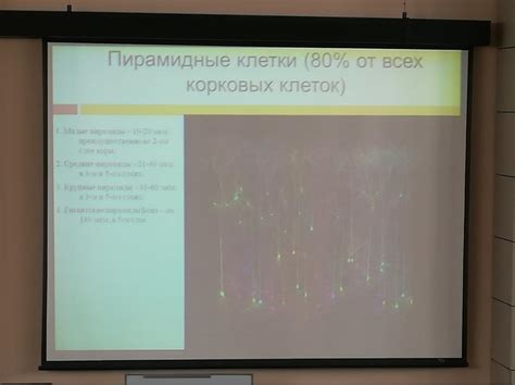 гиста 9 лекция