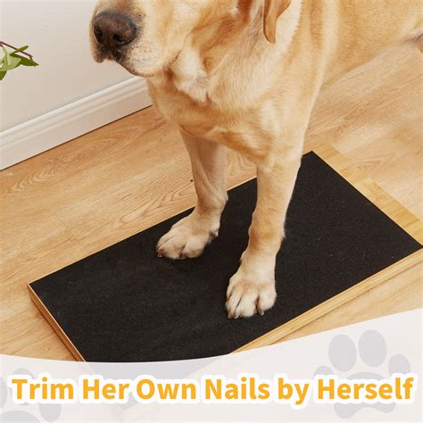 can dog cut their own nails 10