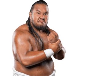 Fallah Bahh: Profile, Career Stats, Face/Heel Turns, Titles Won ...
