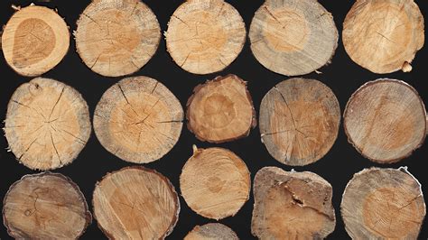 Log Texture