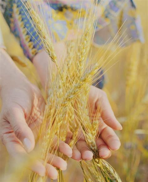 Pin by Анастасия on Вдохновение | Food, Quick, Corn