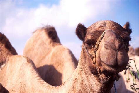 Policy Committments and Getting Over Humps - This Is Amos