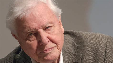 New David Attenborough interview forms part of university exhibition ...