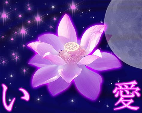 Lotus Dream by Onizen on DeviantArt