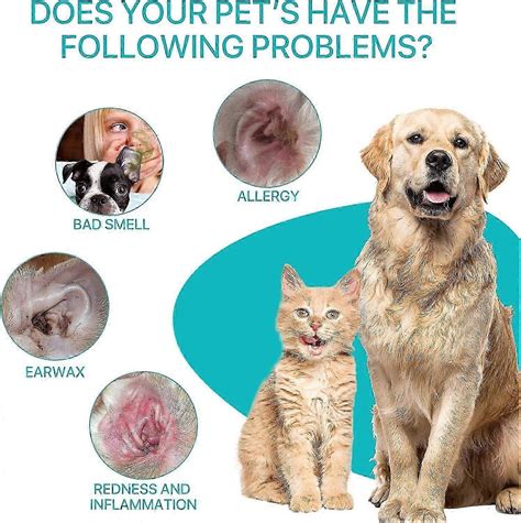 ear mites treatment for cats 8