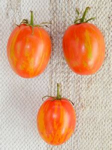 Перец пикантный Пепперончини (Pepperoncini)