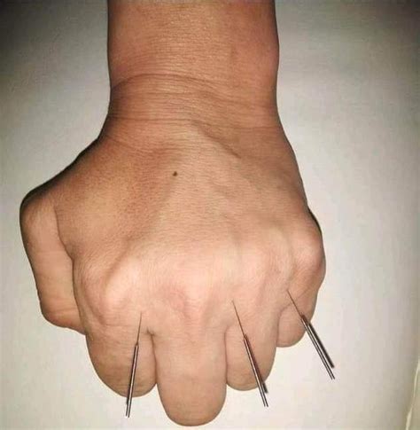 Зүүний эмч нарын бүлгэм