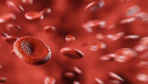 hemoglobin level    smartest   maintain