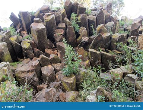 columnar basalt outcrop  battery rock  south wales australia stock