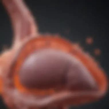 Understanding Normal Ammonia Levels for Liver Health