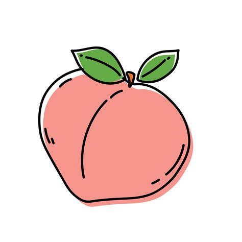Peach Fruit Outline Illustrations 11909933 PNG