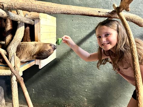 wild animal adventures reviews 11