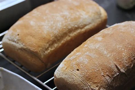 Whole Wheat Bread with Toasted Wheat Germ and Rye - Cully's Kitchen