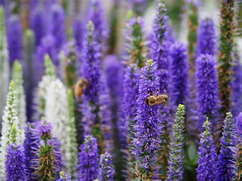 Prettypinkcatwomen Nude