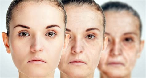 aging process chronological  biological aging theisscare