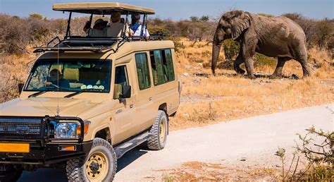 Namibia Safaris - Self Drive Safaris in Namibia