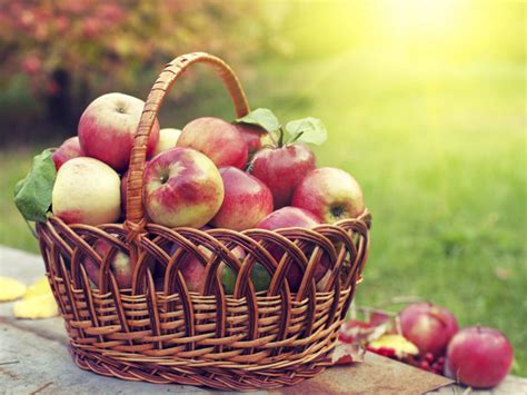 رژیم لاغری سیب ؛ لاغری با سیب چگونه ممکن است؟