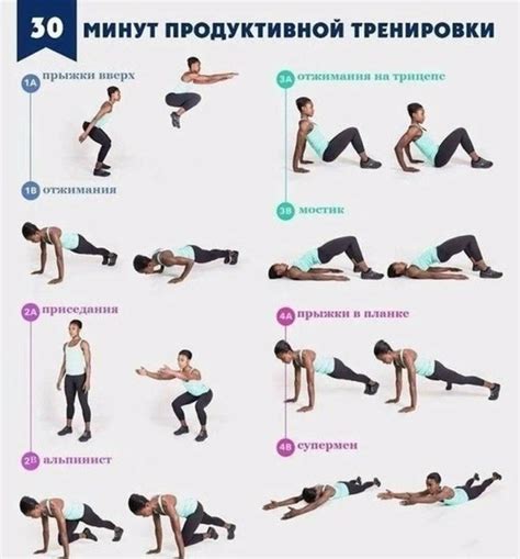 Круговая функциональная тренировка: Круговая тренировка на все группы ...