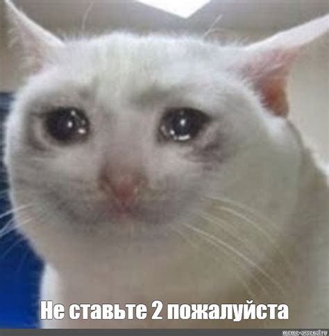 Meme: "Не ставьте 2 пожалуйста" - All Templates - Meme-arsenal.com