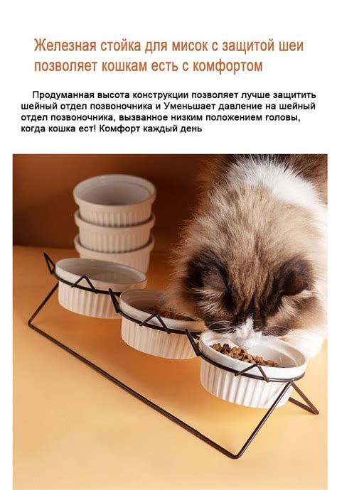 Три керамические миски для кошек купить на OZON по низкой цене (1829722635)