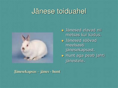PPT - Toiduahel metsas PowerPoint Presentation, free download - ID:2969591