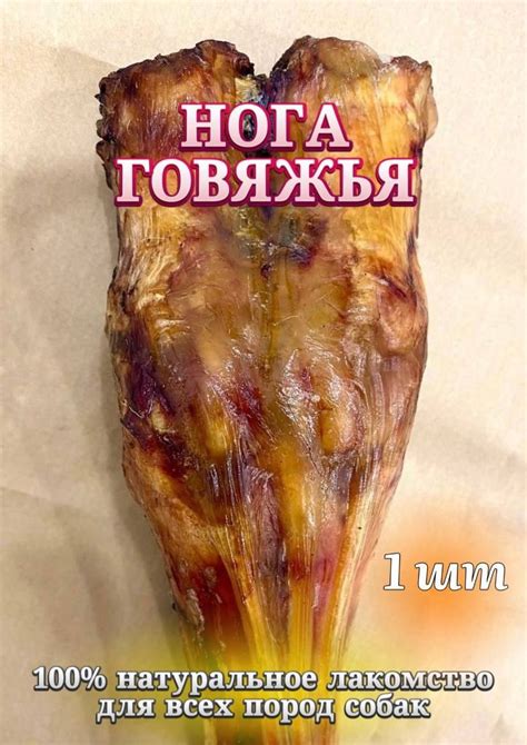 Говяжья Нога Для Собак – купить в интернет-магазине OZON по выгодной цене