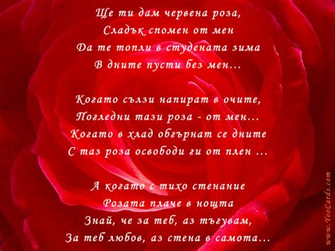Червена роза - Картички за рожден ден, имен ден, 8 март, коледа, нова ...