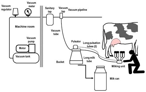 Sizing Milking Groups in Small Cow Dairies of Mediterranean Countries