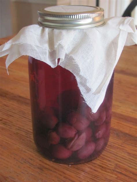 Homesteading on the Homefront: Homemade Red Wine Vinegar