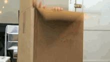 box gifs tenor