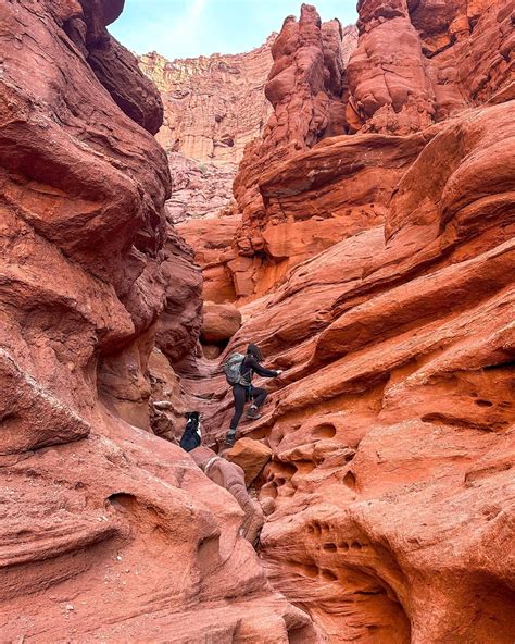 Madison Clysdale | The most transformative year of my life. I’m going