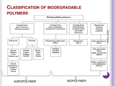 Biopolymer