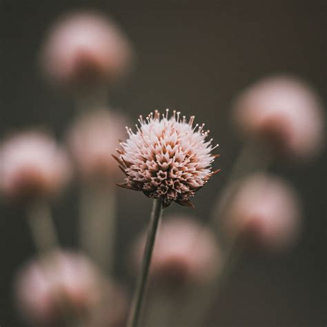 Health Impact Assessments → Term