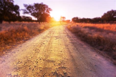 Mud, Dust & Ruts - Grit