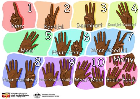counting noongar boodjar language cultural aboriginal corporation