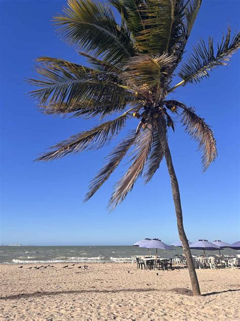 These are the Safest States in Mexico in 2025