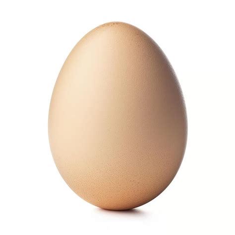 Egg Shape Stock Photos, Images and Backgrounds for Free Download