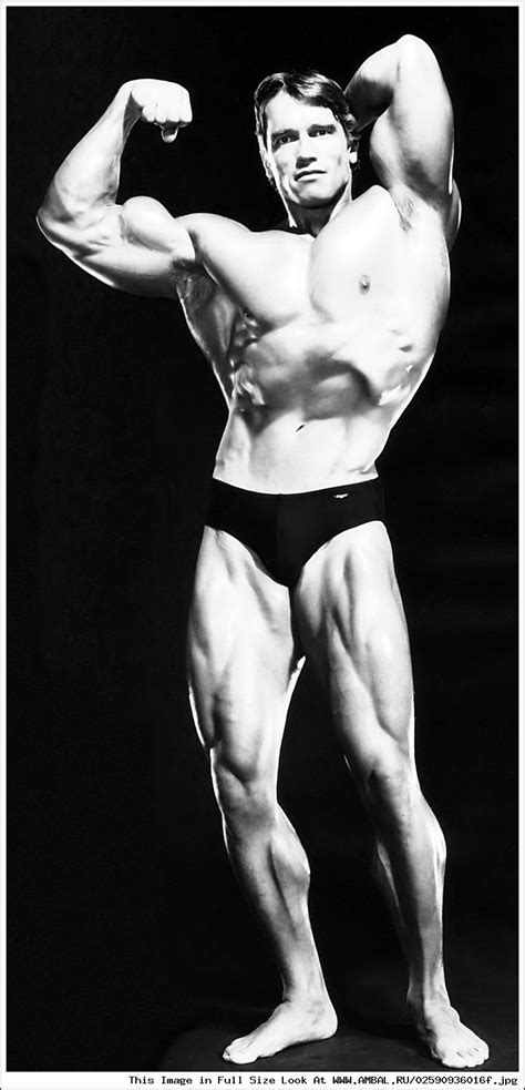 Арнольд Шварценеггер (Arnold Schwarzenegger), фотографии, биография ...