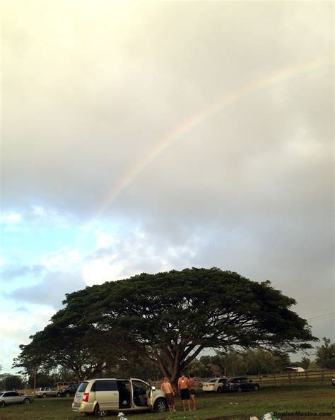 HawaiiWarriorDashIMG_2118 | Denise Masino Blog