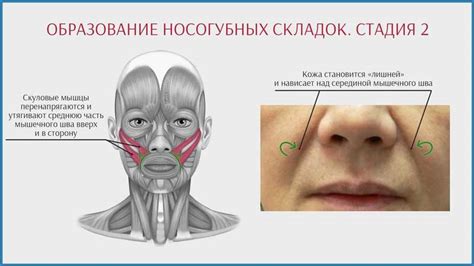 РЕАЛЬНОЕ омоложение: ВАКУУМНЫЙ массаж лица | Lifestyle | Селдон Новости