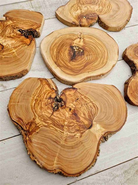 Olive Wood Log Slices - Perfect for Woodworking, Crafts and More