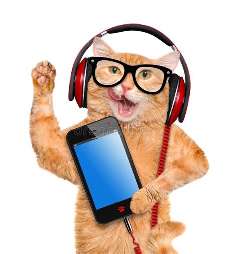 Наушники кота стоковое изображение. изображение насчитывающей кота ...