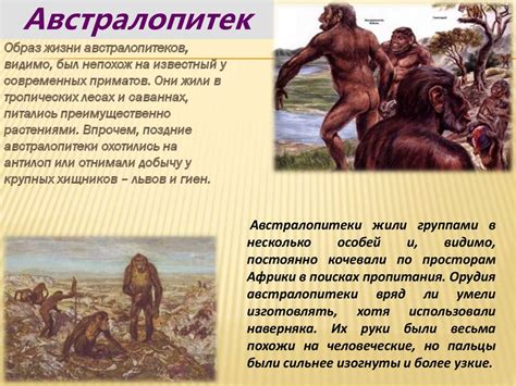 Происхождение человека. 9 класс - презентация онлайн