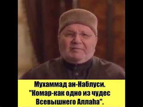Камар - YouTube