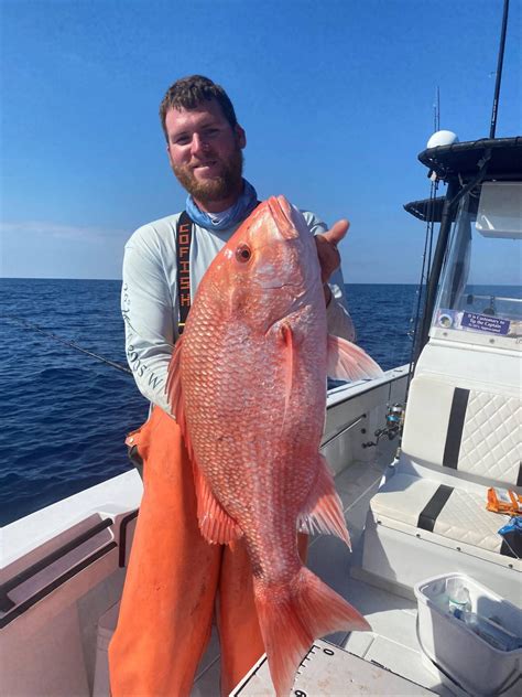 The Captains - Fish Key West Florida - As seen on ESPN